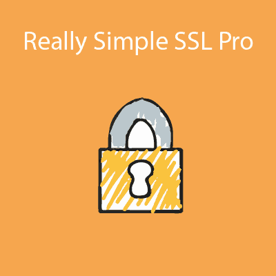 Really-Simple-SSL-Pro