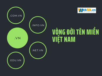 Tìm Hiểu Vòng Đời Tên Miền Việt Nam