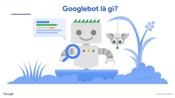 Googlebot Và Những Vấn Đề Liên Quan Có Thể Bạn Chưa Biết