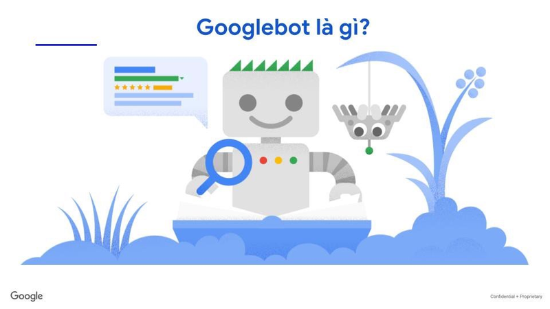 tim-hieu-ve-googlebot-tat-ca-van-de-lien-quan-googlebot-co-the-ban-chua-biet (1)