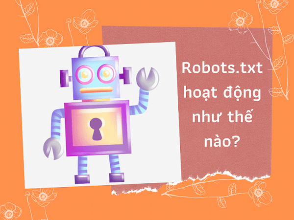 File-robots-txt-hoat-dong-nhu-the-nao (1)